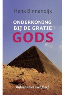 Onderkoning bij de gratie Gods - Boek Henk Binnendijk (9029796472)