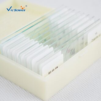 Onderwijs Microscoop Slides Biologie Set 10Pcs