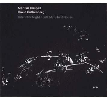 One Dark Night I Left My Silent House