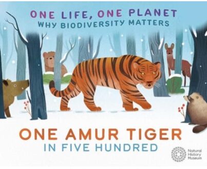 One Life, One Planet: One Amur Tiger In Five Hundred - One Life, One Planet - Sarah Ridley