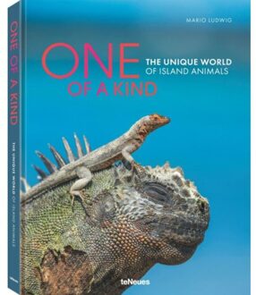 One Of A Kind - Ludwig, Mario