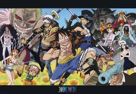 One Piece Poster Dressrosa (98X68)