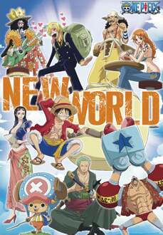 One Piece Poster New World Team