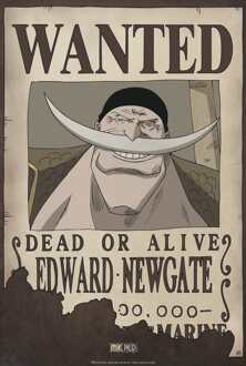 ONE PIECE - Poster Wanted Edward Newgate (52x35)