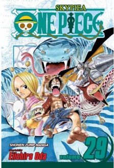 One Piece, Vol. 29