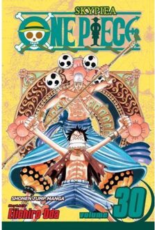 One Piece, Vol. 30