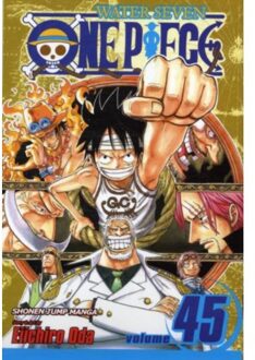 One Piece, Vol. 45