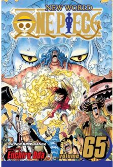 One Piece, Vol. 65