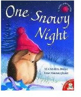 One Snowy Night