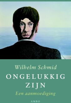 Ongelukkig zijn - eBook Wilhelm Schmid (9026326734)