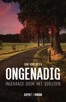 Ongenadig - Jan van Beek - ebook