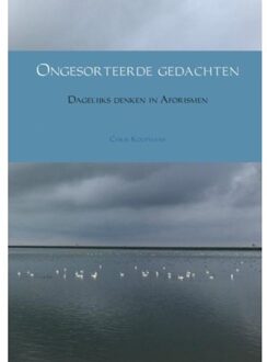 Ongesorteerde gedachten