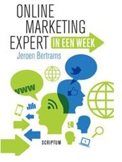 Online marketing expert - Boek Jeroen Bertrams (9055942820)