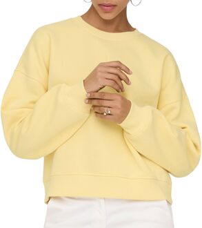 Only Best Crew Neck Sweater Dames - L