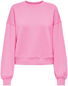 Only Best Crew Neck Sweater Dames - L