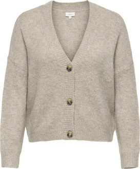 ONLY carmakoma Trui ZOEY beige - 42/44;46/48