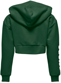 Only Hoodie 15331171 kogdiana Groen - 134/140