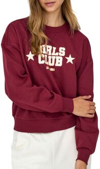 Only Jo Print Box Sweater Dames