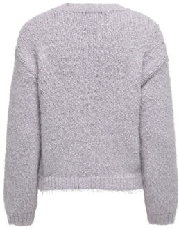 Only Onlbea ls o-neck cc knt lila Paars - S