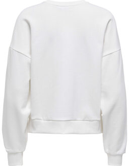 Only Onljenna l/s o-neck emb. box swt cloud dancer/wild Wit