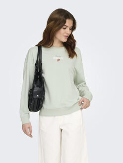 Only Onlkita ls sweat box ub cs swt mint - maat L Groen