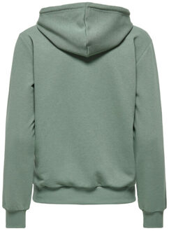 Only Play cava life hood ls loose swt training hoodie dames - Groen