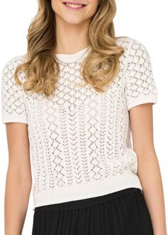 Only Saga Life Knitted Crew Shirt Dames