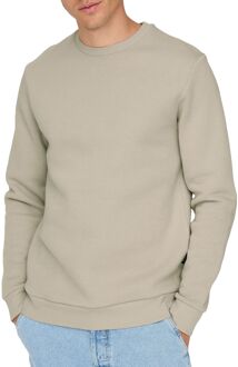 ONLY & SONS Ceres Life Sweater Heren beige