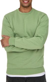 ONLY & SONS Ceres Life Sweater Heren groen