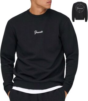 ONLY & SONS Ceres Ski Sweater Heren - M