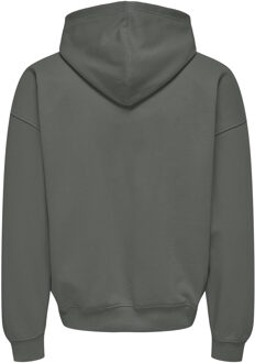 ONLY & SONS hoodie Lichtgrijs