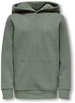 ONLY & SONS jongens hoodie Grijs - 146-152