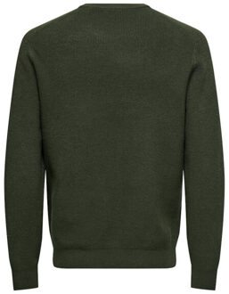 ONLY & SONS Onsalfi reg ls crew knit camp cs donker Groen
