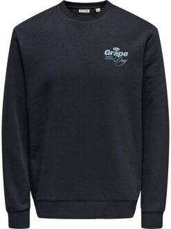 ONLY & SONS Onsalfresco reg crew neck Blauw - XL