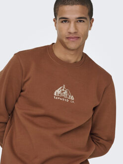 ONLY & SONS onsconnor simple life reg ls crew s 22035961 sequoia Rood - M