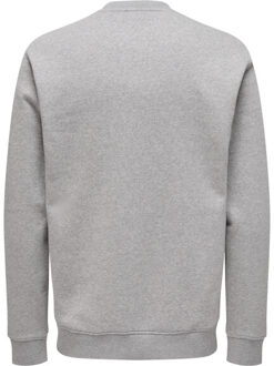 ONLY & SONS Onsdawson reg ls crew Grijs - M
