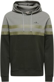 ONLY & SONS Thor Reg Hoodie Heren - M