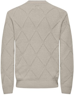 ONLY & SONS Trui van Only & Sons Beige