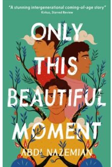 Only This Beautiful Moment - Abdi Nazemian