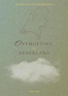 Ontmoeting in Nederland -  Telly Twisk (ISBN: 9789090390550)