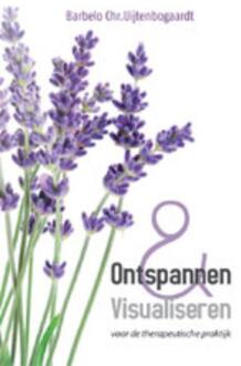 Ontspannen en visualiseren voor de therapeutische praktijk - Boek Barbelo Chr. Uijtenbogaardt (9051797079)