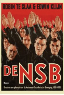 Ontstaan en opkomst van de Nationaal Socialistische Beweging, 1931-1935 - Robin te Slaa, Edwin Klijn - ebook