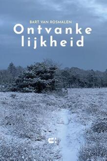 Ontvankelijkheid -  Bart van Rosmalen (ISBN: 9789086842919)