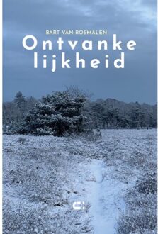 Ontvankelijkheid - Bart van Rosmalen