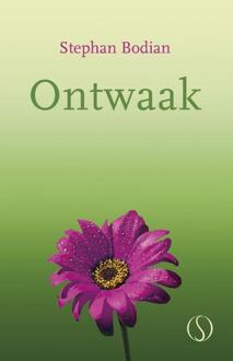 Ontwaak! - Boek Stephan Bodian (949141125X)