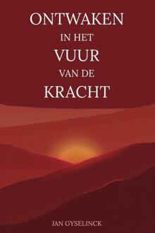 Ontwaken in het vuur van de kracht -  Jan Gyselinck (ISBN: 9789082706185)