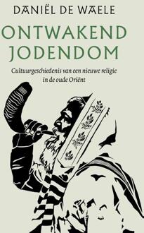 Ontwakend jodendom -  Daniël de Waele (ISBN: 9789043540933)
