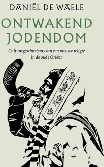 Ontwakend jodendom -  Daniël de Waele (ISBN: 9789043540940)