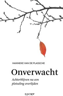 Onverwacht - Hanneke van de Plassche - ebook