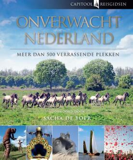 Onverwacht Nederland - Boek Bartho Hendriksen (9000325382)